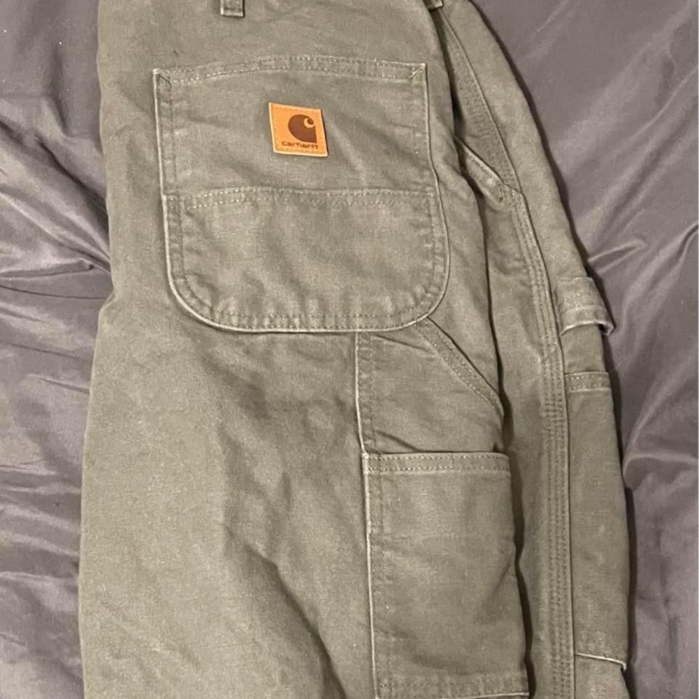 Men’s size 38x32 insulated Carhartt pants